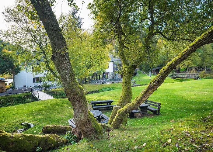 Domaine Du Moulin D'asselborn