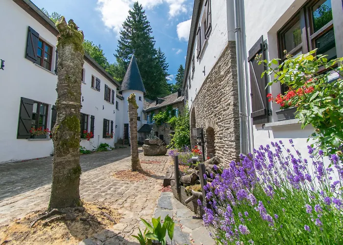 Domaine Du Moulin D'asselborn Asselborn