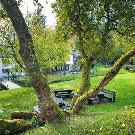 Domaine Du Moulin D'asselborn