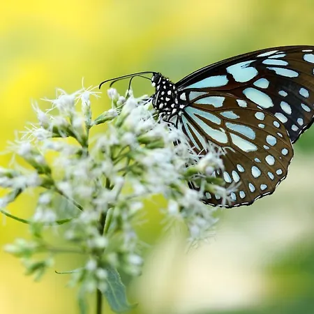 Domaine Du Moulin D'asselborn Ξενοδοχείο 3*