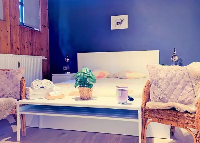 Domaine Du Moulin D'asselborn 3* Asselborn