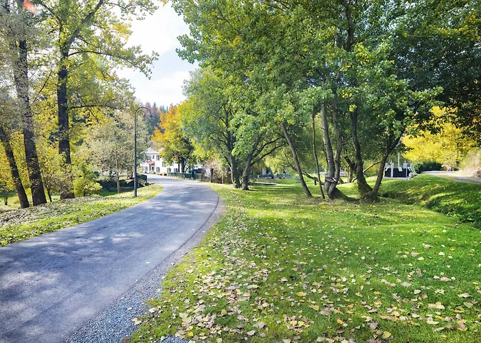 Domaine Du Moulin D'asselborn