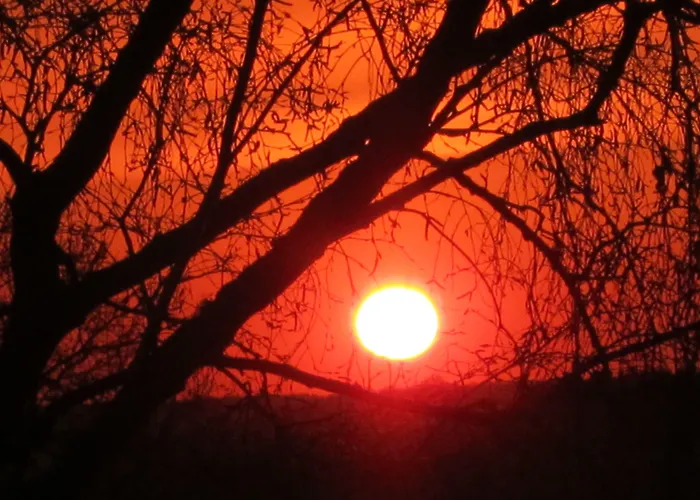 Domaine Du Moulin D'asselborn Asselborn