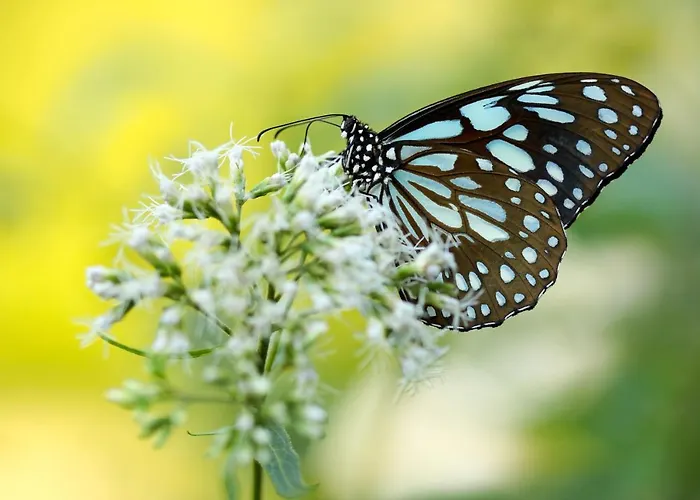 Domaine Du Moulin D'asselborn Hotel 3*